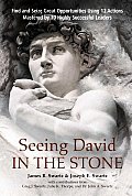 Seeing David In The Stone Find & Seize