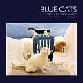 Blue Cats Cats Of The Greek Islands