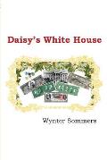 Daisy's White House: Daisy's Adventures Set #1, Book 9