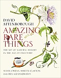 Amazing Rare Things The Art Of Natural History In The Age Of Discovery