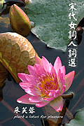 Pluck a Lotus for Pleasure