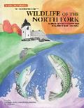 The Illustrated Guide to Wildlife of the North Fork: Paintings and Text by Students from the Mattituck Jr./Sr. High School