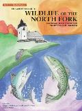 The Illustrated Guide to Wildlife of the North Fork: Paintings and Text by Students from the Mattituck Jr./Sr. High School