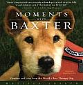 Moments with Baxter Comfort & Love from the Worlds Best Therapy Dog