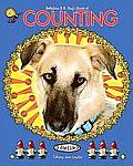 Bellaboo & Bbug's Book of Counting