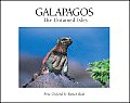 Galapagos The Untamed Isles