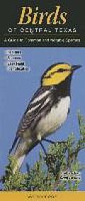 Birds of Central Texas A Guide to Common & Notable Species
