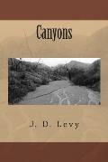 Canyons