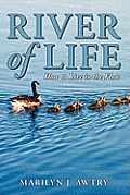 River of Life - How to Live in the Flow