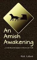 An Amish Awakening: a tenderhearted sojourn to Heaven and back