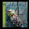 World of Bugs 2: Backyard Guide