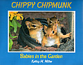 Chippy Chipmunk Babies in the Garden