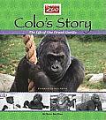 Colos Story The Life of One Grand Gorilla