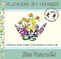 Flowers by Number