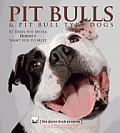 Pit Bulls & Pit Bull Type Dogs 82 Dogs the Media Doesnt Want You to Meet