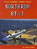 Northrop Bt-1: Navy Dive Bomber
