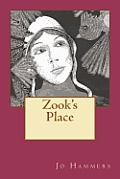 Zook's Place: (black Lightning, Book VIII)