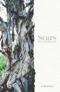 Scars: His, Theirs and Ours