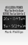 An Algebra Primer: What You Need to Know BEFORE You Can Solve for X