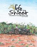 Life Is Sweet: The Story of a Sugarcane Field