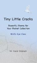 Tiny Little Cracks: Powerful Poems for Your Pocket Collection: Bird's Eye View