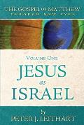 The Gospel of Matthew Through New Eyes Volume One: Jesus as Israel