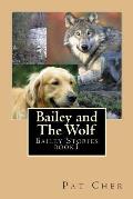 Bailey and The Wolf