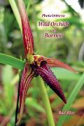Photo Intro to: Wild Orchids of Borneo