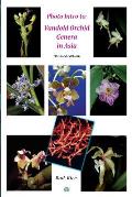 Photo Intro to: Vandoid Orchid Genera in Asia