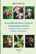 Photo Intro to: Asian Bulbophyllum, Coelogyne & Dendrobium Orchids (with floristic observations of Subtribe Coelogyninae)