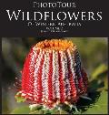 PhotoTour Wildflowers of Western Australia Vol2: A photographic journey through a natural kaleidoscope