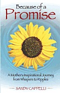 Because of a Promise: A Mother's Spiritual Journey from Whispers to Ripples