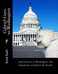 Gabriel Goes to Washington: Through Big Brown Eyes; the Adventures of Gabriel the Poodle