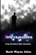 Introspection: From The Melvin Time Chronicles