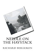 Needle on the Haystack
