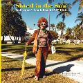 Shtetl in the Sun Andy Sweets South Beach 1977 1980