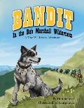 Bandit In The Bob Marshall Wilderness: A True Wilderness Adventure