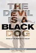 Devil Is a Black Dog Stories from the Middle East & Beyond