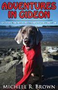 Adventures in Gideon: Kingdom Principles & Life Lessons My Dog Taught Me