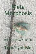 Meta Morphosis: Wet Sidewalks Two