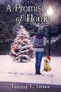 A Promise of Home: A Hometown Harbor Novel