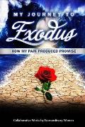 My Journey to Exodus: How My Pain Produced Promise