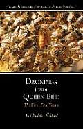 Dronings from a Queen Bee: The First Five Years