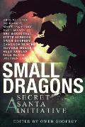 Small Dragons: A Secret Santa Initiative