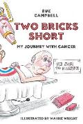 Two Bricks Short: My Journey with Cancer