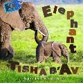 Elephant Tisha b'Av