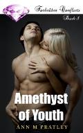 Amethyst of Youth: Book 1 of the Forbidden Conflicts Series