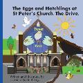 The Eggs and Hatchling at St Peters Church the Drive.