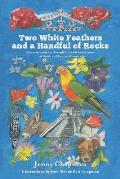 Two White Feathers and a Handful of Rocks: A woman's journey through the feminine ch'amas of South and Central America