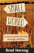 Small World: A Microcosmic Journey through America